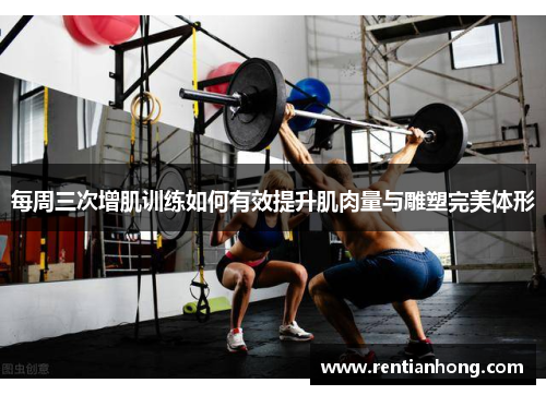 每周三次增肌训练如何有效提升肌肉量与雕塑完美体形